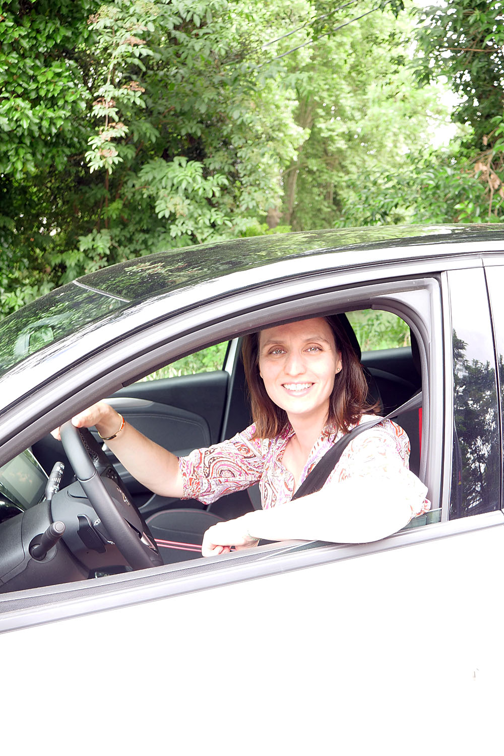 maître elfried dupuy-chabin avocats du volant